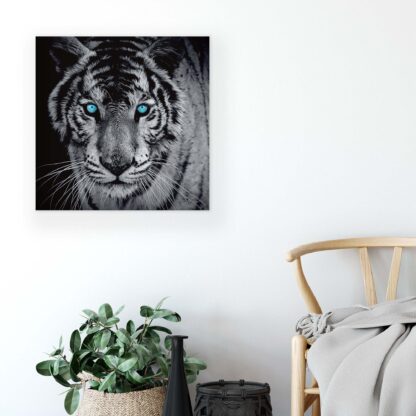 Animals and Living (10202CV) - Image 5