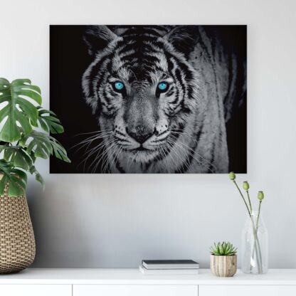 Animals and Living (10202CV) - Image 6