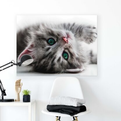 Animals and Living (10203CV) - Image 2