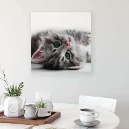 Animals and Living (10203CV) - Image 3