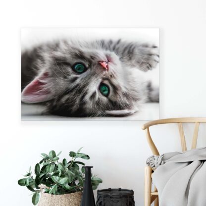 Animals and Living (10203CV) - Image 4
