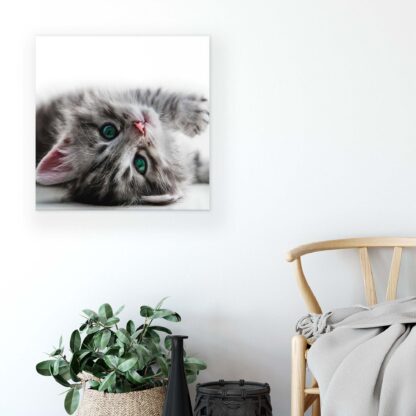 Animals and Living (10203CV) - Image 5