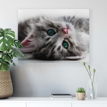 Animals and Living (10203CV) - Image 6