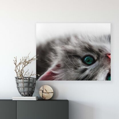 Animals and Living (10203CV) - Image 7