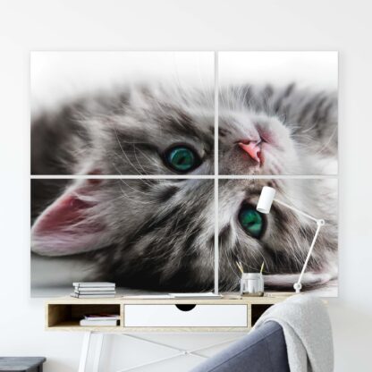 Animals and Living (10203CV) - Image 8