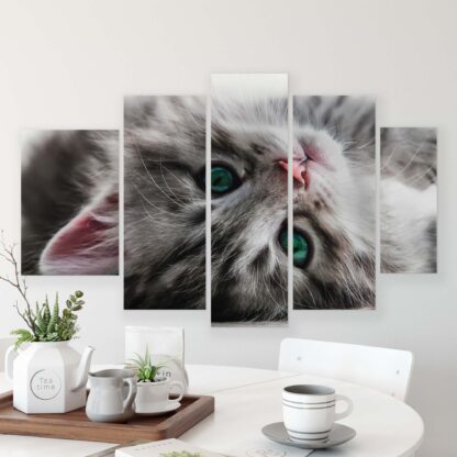 Animals and Living (10203CV) - Image 9