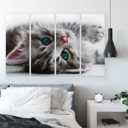 Animals and Living (10203CV) - Image 10