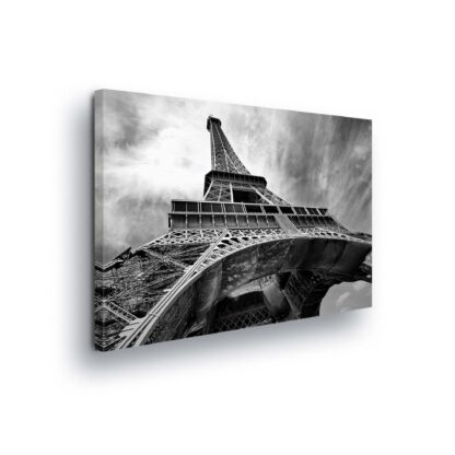 Paris (10215CV)