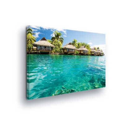Tropical (10228CV)