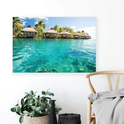 Tropical (10228CV) - Image 5