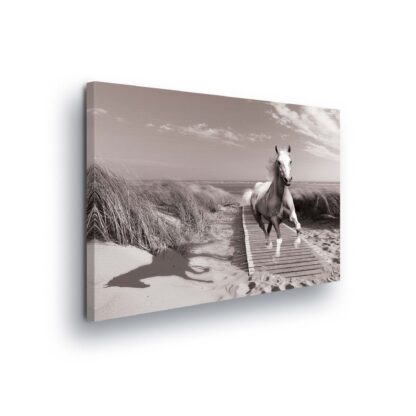 Horses and Unicorns (10229CV)