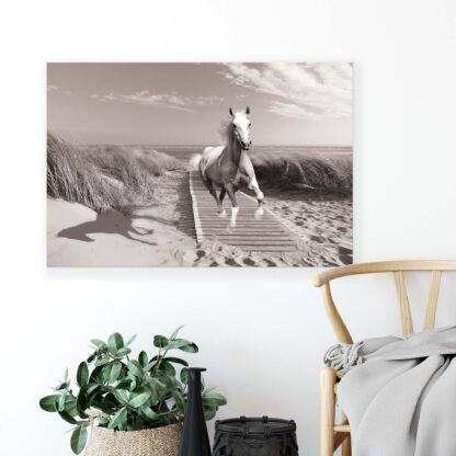 Horses and Unicorns (10229CV) - Image 4
