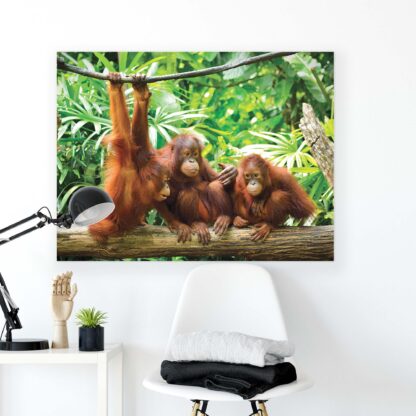 Animals and Living (10230CV) - Image 2