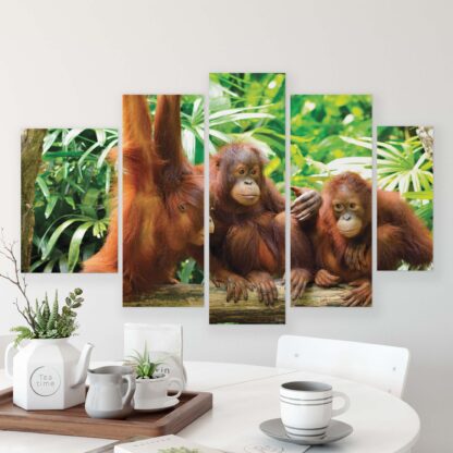 Animals and Living (10230CV) - Image 9