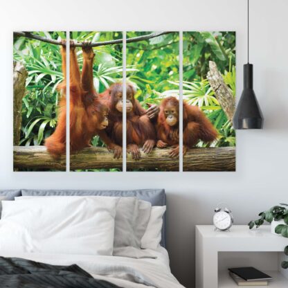 Animals and Living (10230CV) - Image 10