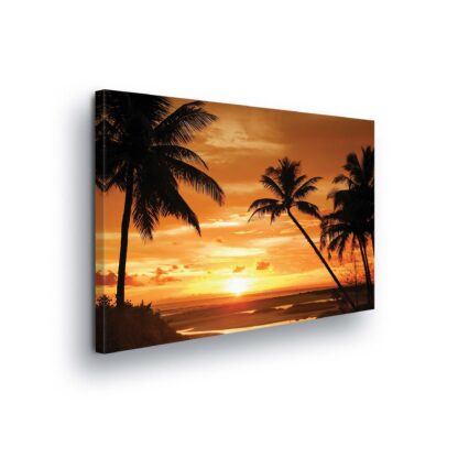Tropical (10237CV)