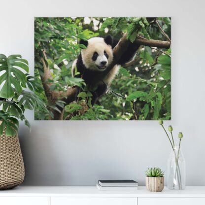 Animals and Living (10238CV) - Image 5