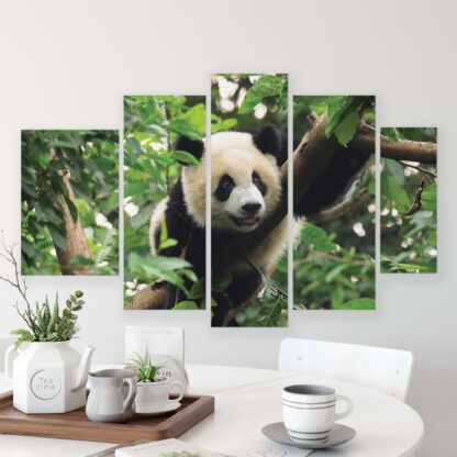 Animals and Living (10238CV) - Image 7