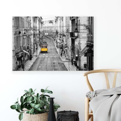 Travel and World (10330CV) - Image 5