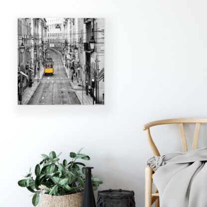 Travel and World (10330CV) - Image 6