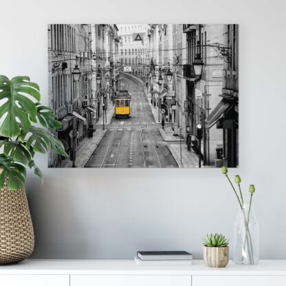 Travel and World (10330CV) - Image 7