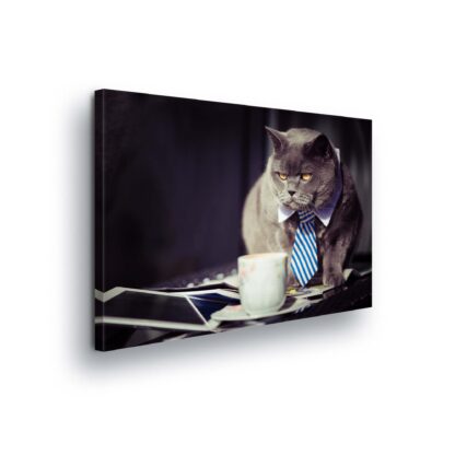 Animals and Living (10397CV)