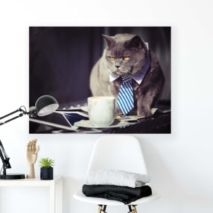 Animals and Living (10397CV) - Image 2