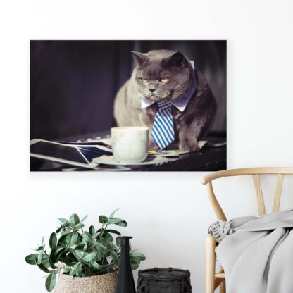 Animals and Living (10397CV) - Image 4