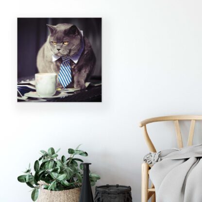 Animals and Living (10397CV) - Image 5