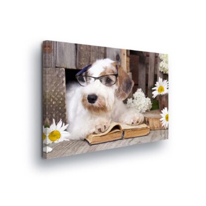 Animals and Living (10398CV)