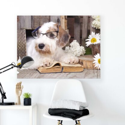 Animals and Living (10398CV) - Image 2