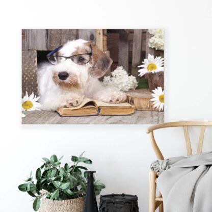 Animals and Living (10398CV) - Image 4