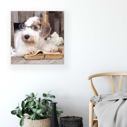 Animals and Living (10398CV) - Image 5
