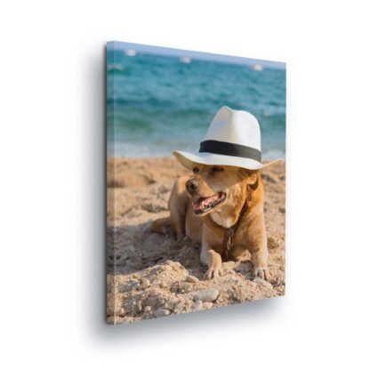 Animals and Living (10399CV)