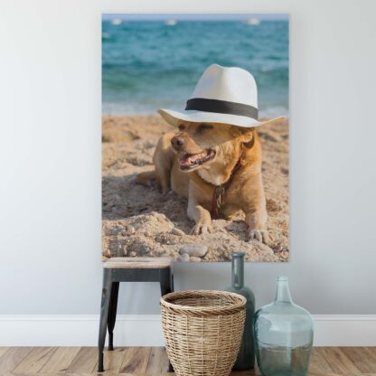 Animals and Living (10399CV) - Image 2