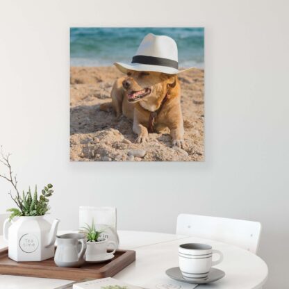 Animals and Living (10399CV) - Image 3