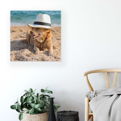 Animals and Living (10399CV) - Image 4