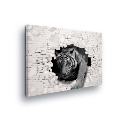 Animals and Living (10400CV)