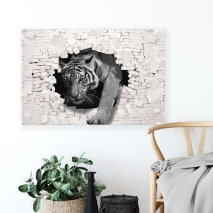Animals and Living (10400CV) - Image 4