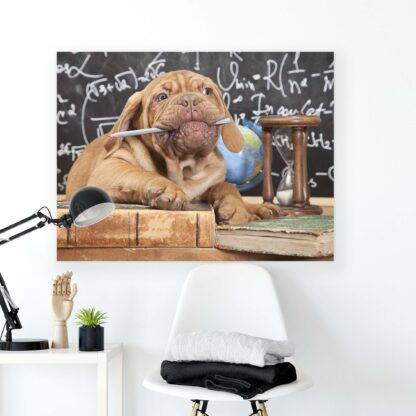 Animals and Living (10430CV) - Image 2