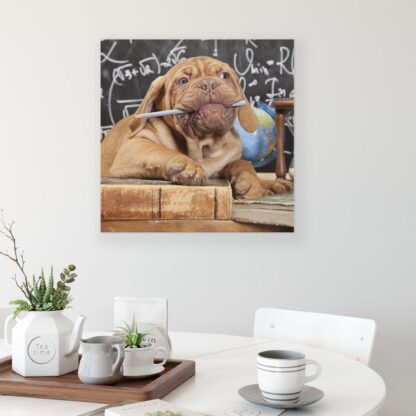 Animals and Living (10430CV) - Image 3