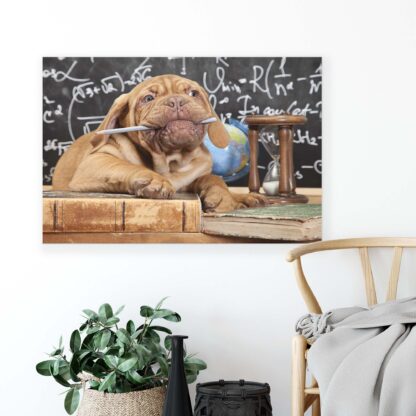 Animals and Living (10430CV) - Image 4