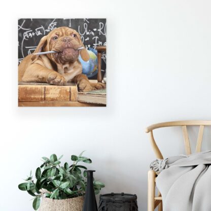 Animals and Living (10430CV) - Image 5