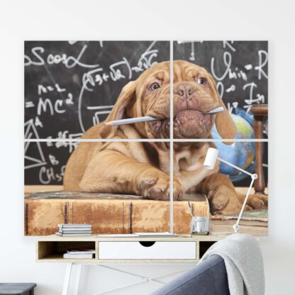 Animals and Living (10430CV) - Image 7