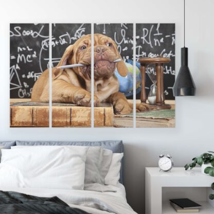 Animals and Living (10430CV) - Image 8