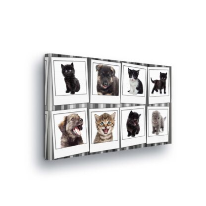 Animals and Living (10453CV)