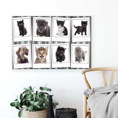 Animals and Living (10453CV) - Image 2
