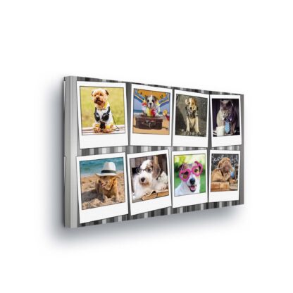 Animals and Living (10454CV)