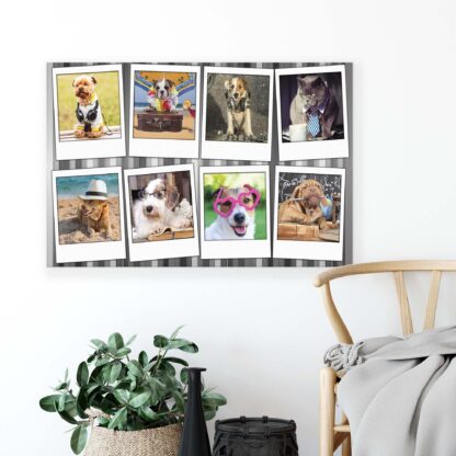 Animals and Living (10454CV) - Image 2