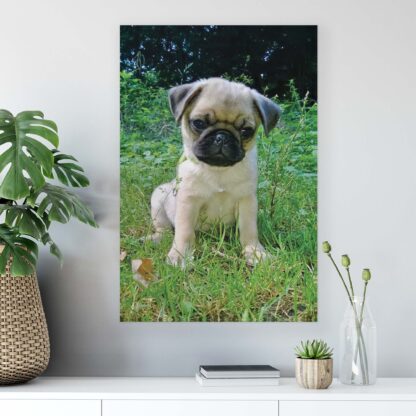 Animals and Living (10521CV) - Image 2